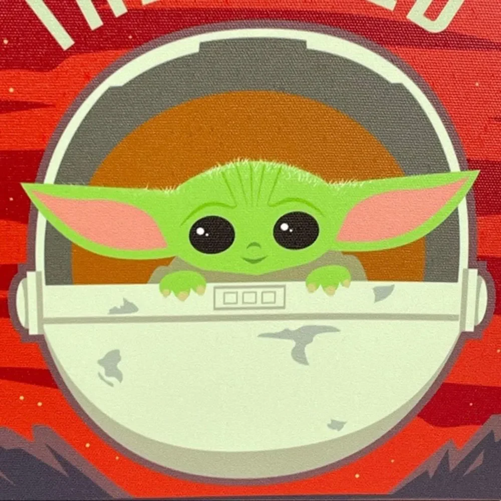 Star Wars Baby Yoda In His Carrier Picture 9.8x9.8